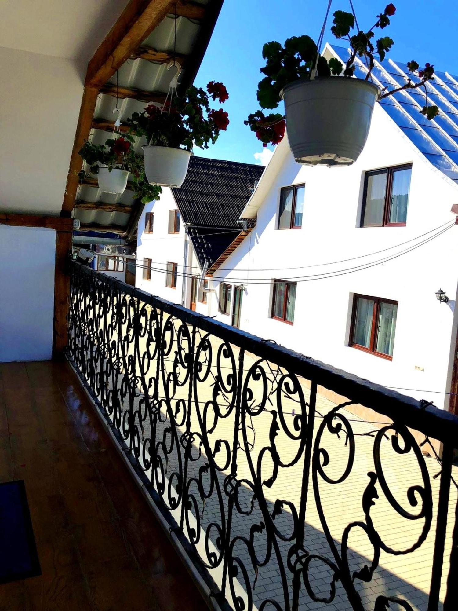 Casa Paul Hotell Vişeu de Sus Exteriör bild