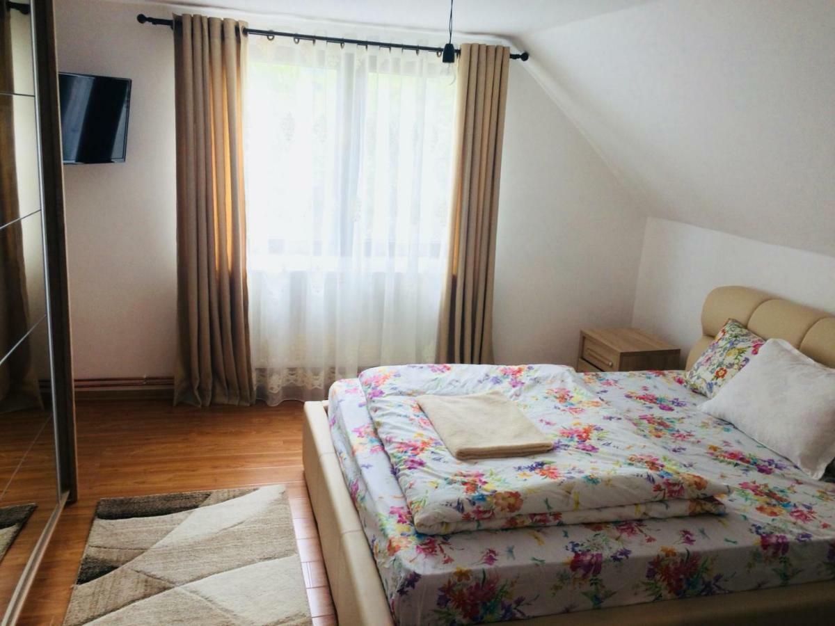 Casa Paul Hotell Vişeu de Sus Exteriör bild