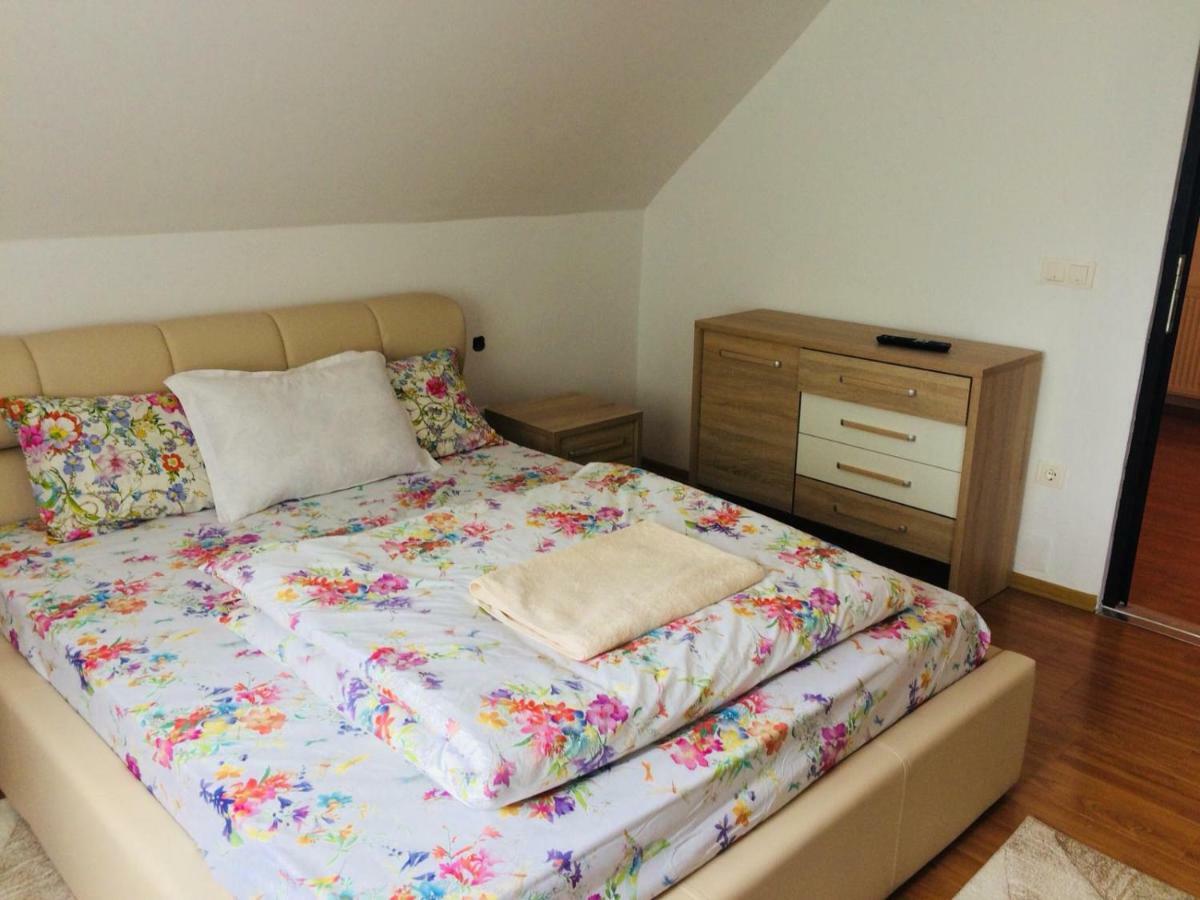 Casa Paul Hotell Vişeu de Sus Exteriör bild